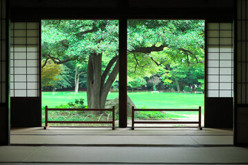 view of japanese traditional garden
