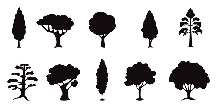 Designer elements forest collection Premium silhouettes vector