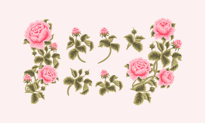 Vintage Hand Drawn Garden Pink Rose Flower Vector Illustration Elements, Clipart Collection for Wedding Invitation, Greeting Card Decoration Set, Aesthetic Nature Crafts, Art and Creative Projects