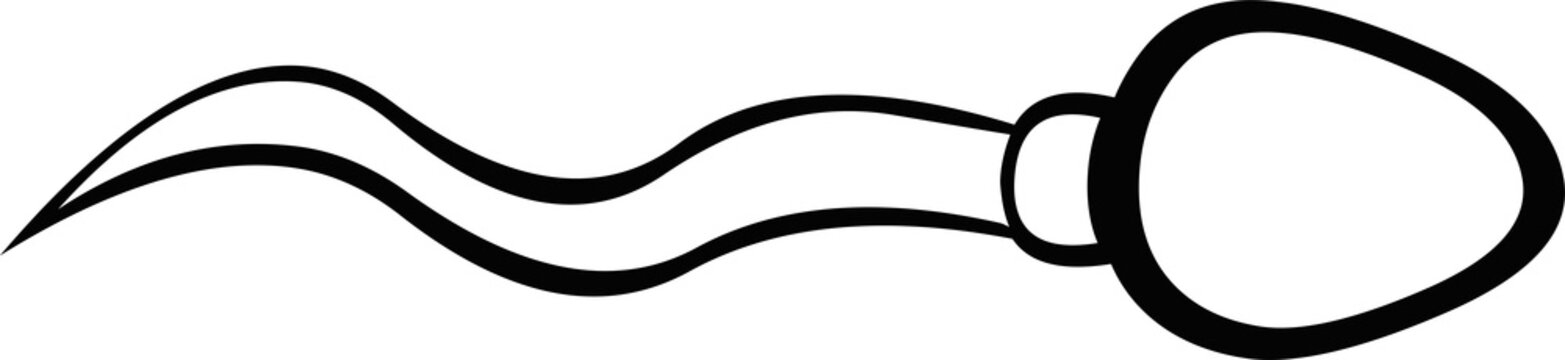 Vector illustration of a spermatozoon drawn in black and white