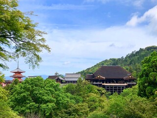 初夏の京都