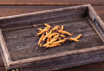 Photography of cordyceps sinensis, a nourishing Chinese herb © 大 李