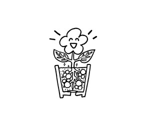 肥料のおかげで元気な花