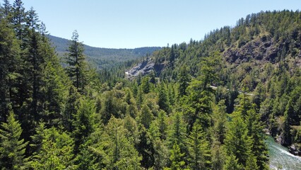 Jedediah Smith Redwood State Park Northern California