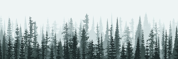 Coniferous forest in the morning haze, vector banner © Valerii