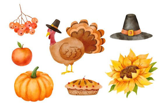 Watercolor thanksgiving elements. Cute turkey in a pilgrim hat, pumpkin and sunflower. Childish character isolated on white background