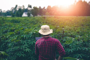 Farmers use virtual image technology from tablets to help plant care.