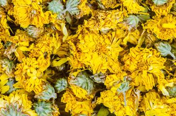 Dried Chrysanthemum tea textured as background.