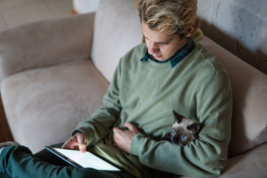 Siamese cat in the arms of its owner. Man with cat in his arms while looking at the tablet screen - Powered by Adobe