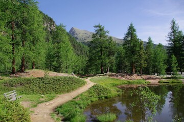Obraz premium Landschaft im hinteren Martelltal