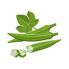 Vector illustration of fresh young Okra, with slices, and green leaves, isolated on white background. - obrazy, fototapety, plakaty