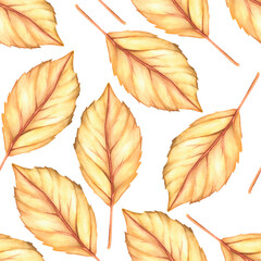 Obraz premium Autumn leaf seamless pattern. Watercolor vintage illustration. Isolated on a white background.