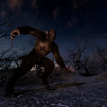 Illustration of a werewolf during the night in the creepy forest