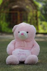 Teddy bear sit on the grass with morning light background ."selective focus" "shallow depth of field" or "blur"