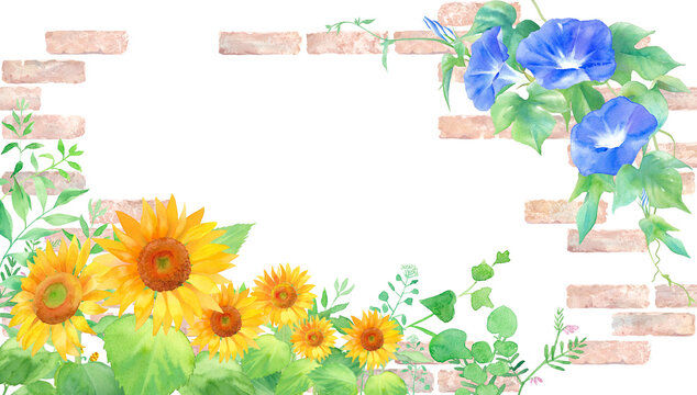 夏の花。ヒマワリとアサガオとレンガの装飾フレーム。水彩イラスト。