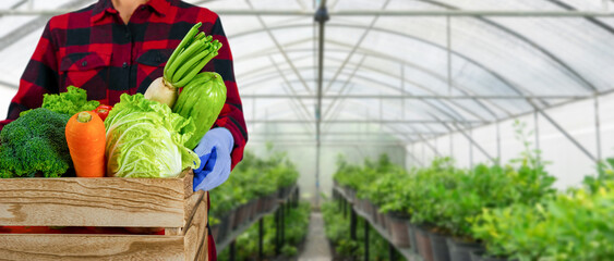 A gardener holds a wooden crate with various organic vegetables. vegetable garden background