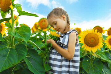 Beautiful little girl enjoying nature . Happy smiling female kid standing in sunflowers field.