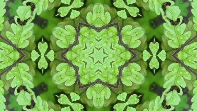 Abstract loop motion, Kaleidoscopic video background. Colorful symmetric patterns. Hypnotic motion. Green symmetrical fractal design looped animation, Dynamic ethnic abstract texture. 4K