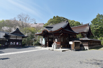 三尾神社　境内　滋賀県大津市園城寺町