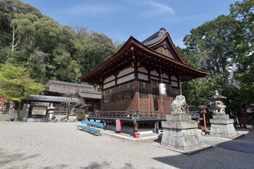 Fototapeta premium 長等神社 拝殿と本殿 滋賀県大津市三井寺町