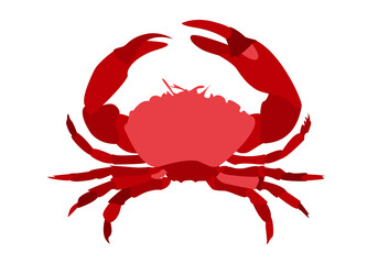 Icono de cangrejo rojo de mar en fondo blanco.