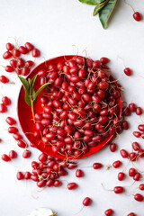 Gumi berries on a red plate