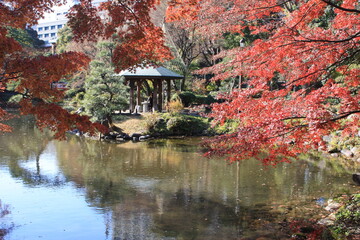 Naklejka premium 日本の風景