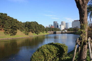 Fototapeta premium 日本の風景