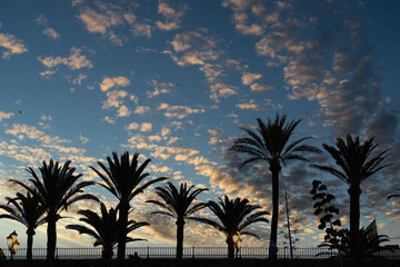 Fototapeta na wymiar Silhouettes of palm trees on the coastline promenade during the sunset. Tourism concept.