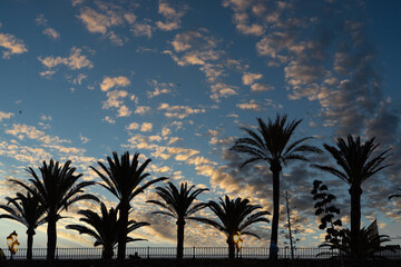 Obraz premium Silhouettes of palm trees on the coastline promenade during the sunset. Tourism concept.