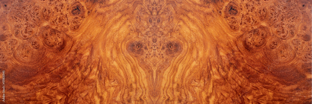 Wall mural natural afzelia burl wood striped is a wooden beautiful pattern for background - Wall murals