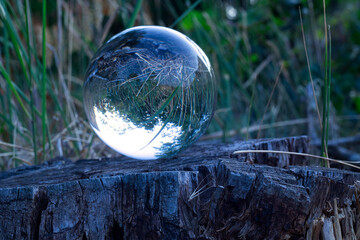 Lensball - Natur - Transparenz  - Zerbrechlich - Ecology - Bioeconomy - High quality photo