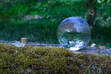 Lensball - Natur - Transparenz  - Zerbrechlich - Ecology - Bioeconomy - High quality photo