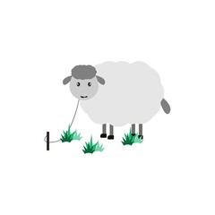 sheep vector element illustration design