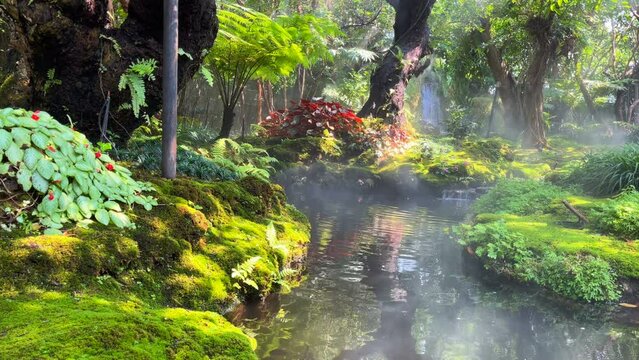The garden with waterfalls and beautiful trees is relaxing and refreshing.