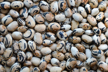 bean seeds texture background