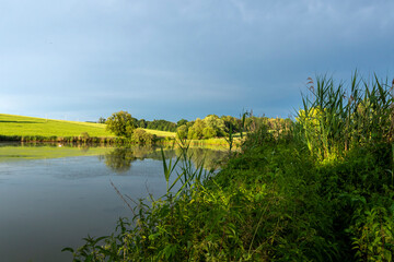 Pond surrounded by greenery in golden hour with reflections in the water 