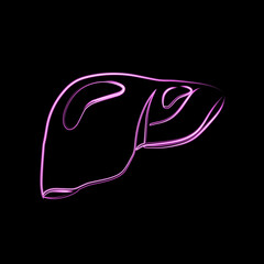 Vector illustration of human liver with neon effect.