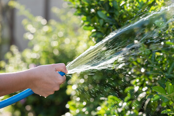 spraying water to trees at sunset. Routin house work