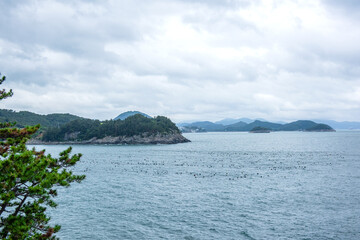 The beautiful landscape of sea.