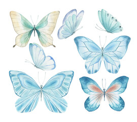 Fototapeta na wymiar Watercolor butterfly set. Hand drawn isolated illustration on white background