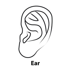 human ear out line. vector. on white background