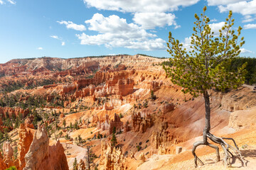 national park Bryce Canyon