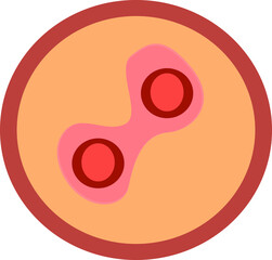 The human embryo is the egg. Illustration of human.
 Vector diagram for science and medical use.