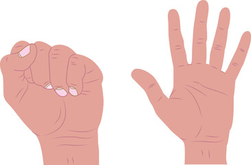 Thumb extension. Hand sequence from fist to open in two drawings. on white background