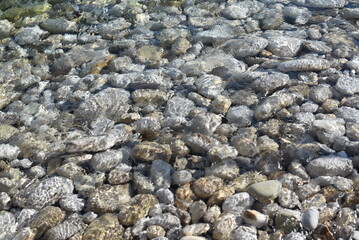 pebbles on the beach.The Mediterranean, Adriatic sea through which every pebble is produced. Rocks under clean seawater. Pebbles of curved surfaces and various colors that are visible underwater.