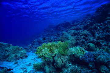 Naklejka na ściany i meble tropical sea underwater background diving ocean