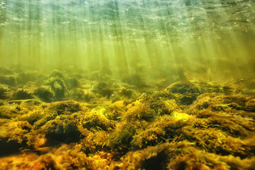 sun rays under water landscape, seascape fresh water river diving