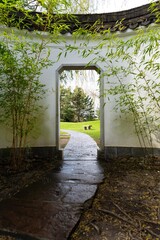 Obraz premium tunnel in the park