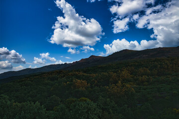 JERTE VALLEY, WONDERFUL IN SPRING, PICKED FROM THE FAMOUS JERTE CHERRY